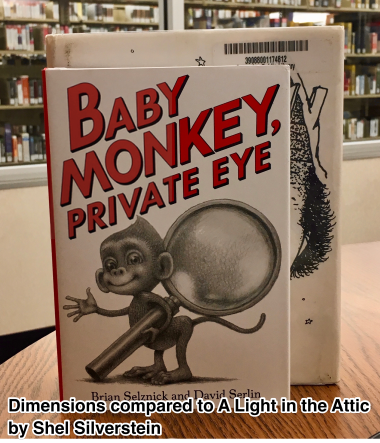 Baby Monkey Dimension Comparison